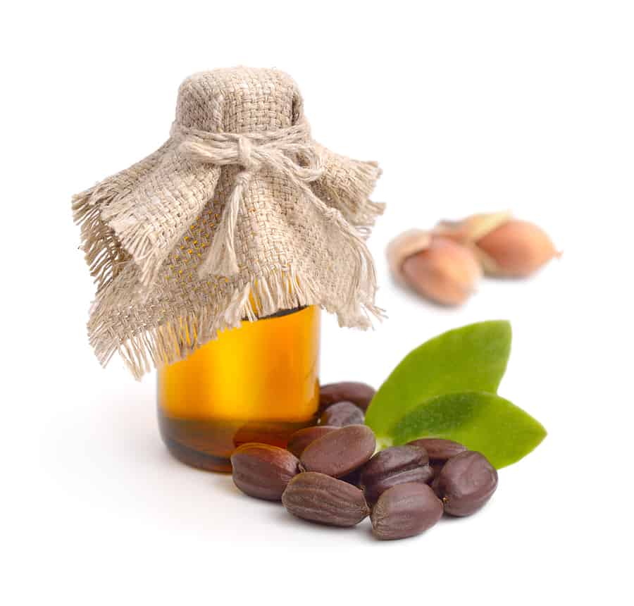 Jojoba oil (simmondsia chinensis) has a multitude of health and beauty uses.